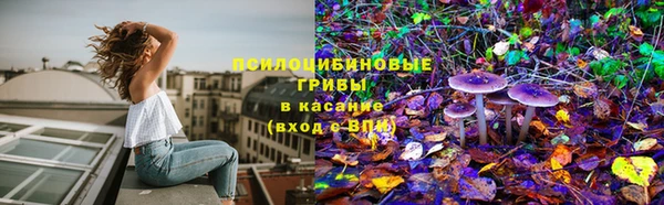 прущие крисы Алзамай