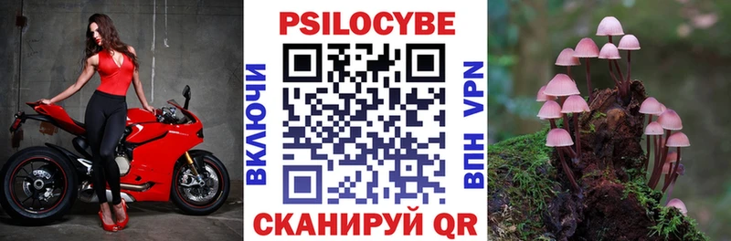 Псилоцибиновые грибы Psilocybine cubensis  Пучеж 